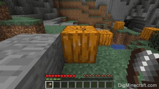 How to Make a Carved Pumpkin in Minecraft